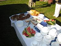 Valli Sepp 70<br>Rida talu, Meeri küla, Nõo vald, Tartumaa<br>18. juuli 2009<br>Foto Leelo ja Indrek Prank