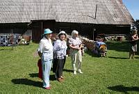 Valli Sepp 70<br>Rida talu, Meeri küla, Nõo vald, Tartumaa<br>18. juuli 2009<br>Foto Sulev Sepp