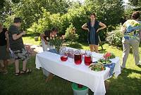 Valli Sepp 70<br>Rida talu, Meeri küla, Nõo vald, Tartumaa<br>18. juuli 2009<br>Foto Olev ja Mariliis Sepp