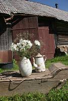 Valli Sepp 70<br>Rida talu, Meeri küla, Nõo vald, Tartumaa<br>18. juuli 2009<br>Foto Olev ja Mariliis Sepp