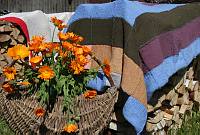 Valli Sepp 70<br>Rida talu, Meeri küla, Nõo vald, Tartumaa<br>18. juuli 2009<br>Foto Olev ja Mariliis Sepp